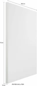 Kochstation KS-Cara Frontblende Weiß für Geschirrspüler 45cm Bild 2