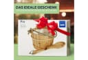kela Sauna-Aufgussset 2-tlg. mit Holzkelle Braunes Fichtenholz Bild 4