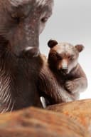Kare Design Dekofigur Reading Bears Holzoptik Bild 5