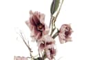 formano Kunstblume Magnolie Altrosa 105 cm Bild 3