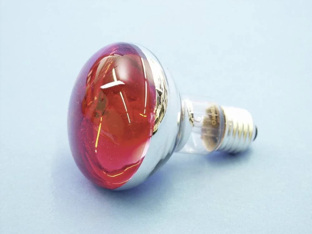 EUROLITE LED-Leuchtmittel Eurolite 9210360U Halogen E27 Reflektor 60 W Rot