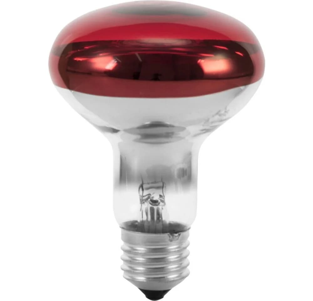 EUROLITE LED-Leuchtmittel Eurolite 9210360U Halogen E27 Reflektor 60 W Rot - Bild 2