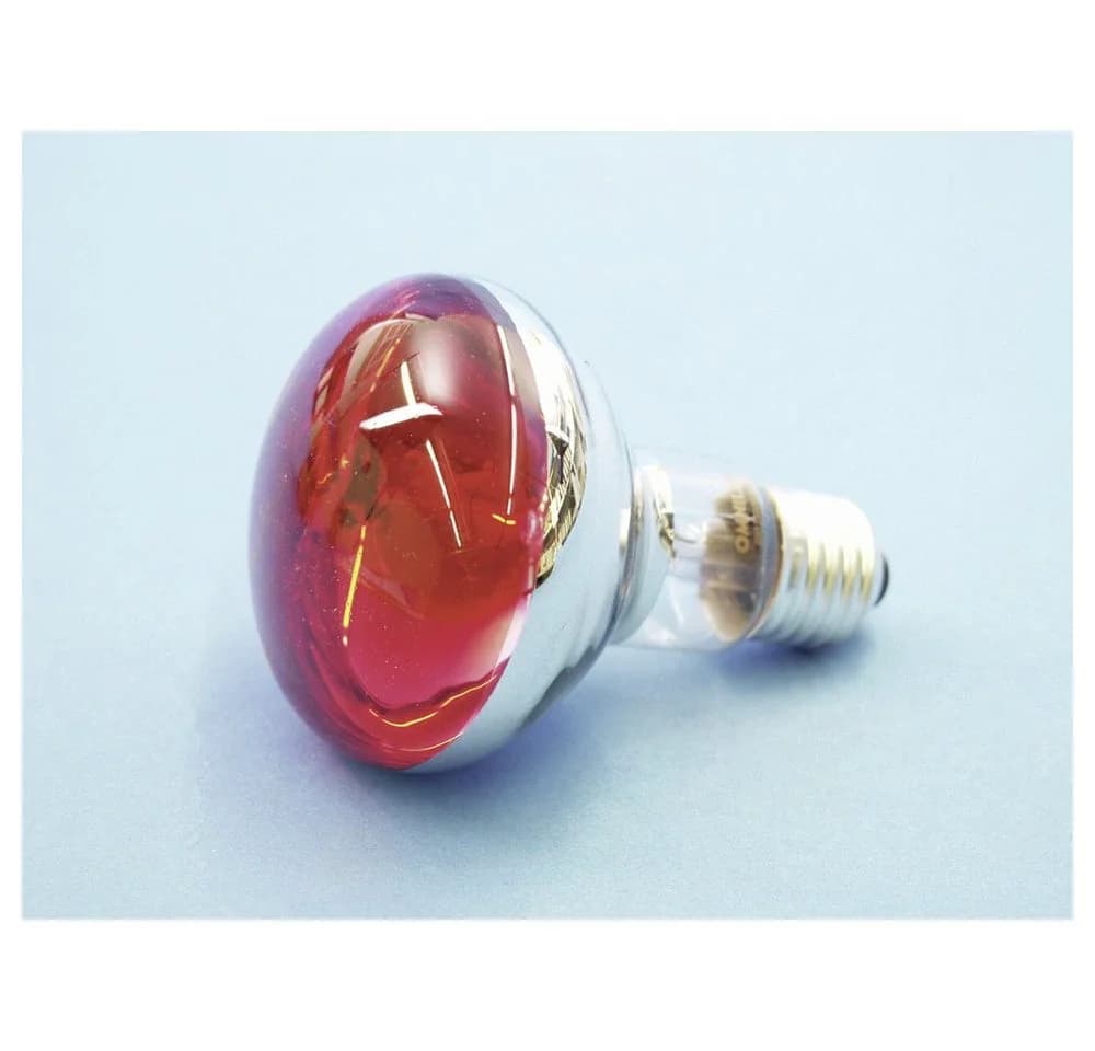 EUROLITE LED-Leuchtmittel Eurolite 9210360U Halogen E27 Reflektor 60 W Rot - Bild 3
