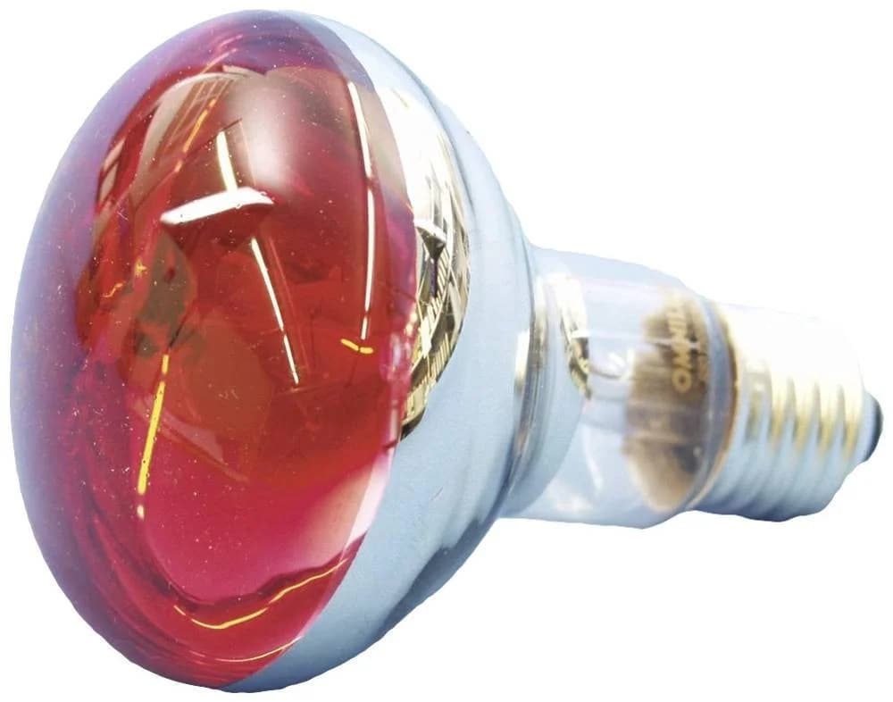 EUROLITE LED-Leuchtmittel Eurolite 9210360U Halogen E27 Reflektor 60 W Rot - Bild 4