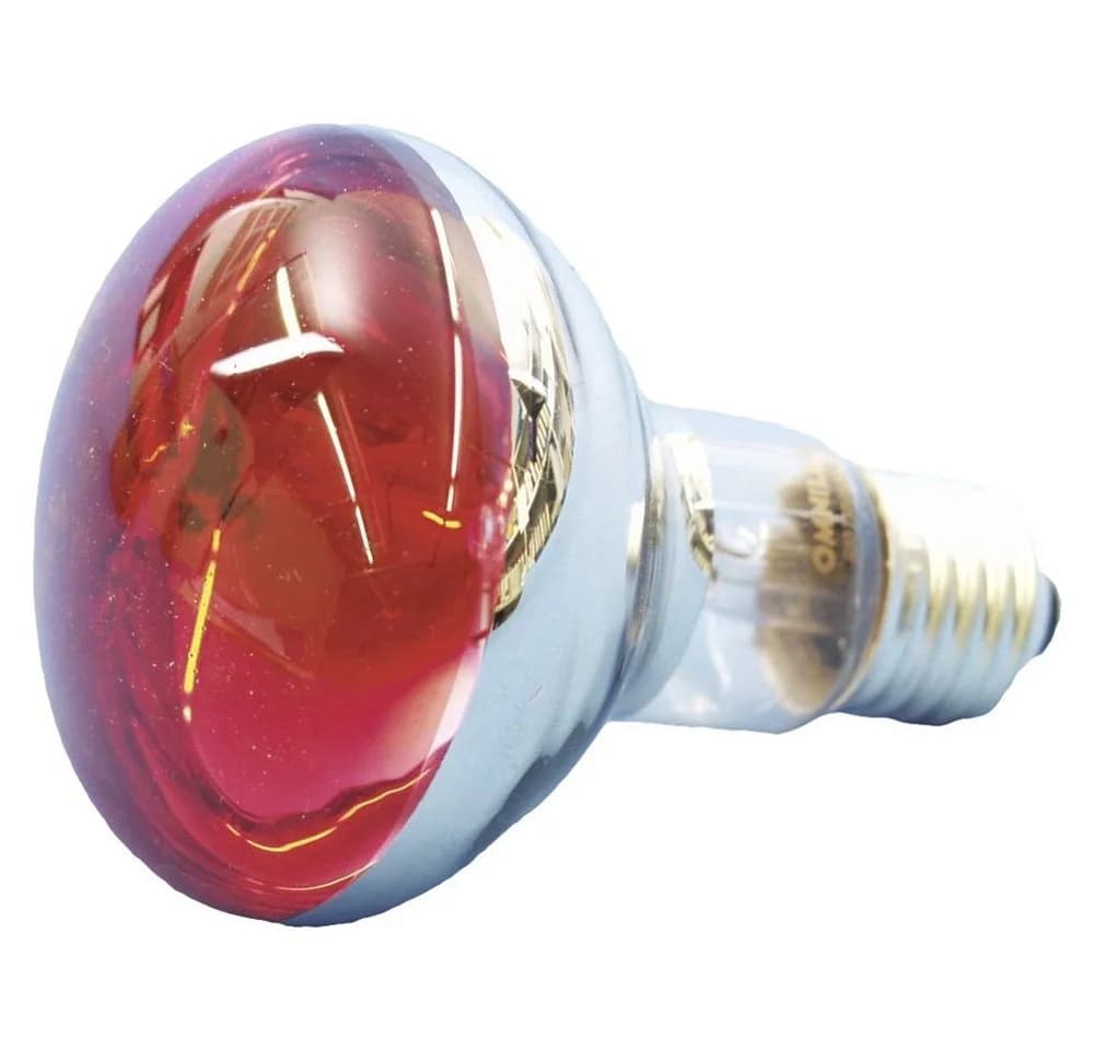 EUROLITE LED-Leuchtmittel Eurolite 9210360U Halogen E27 Reflektor 60 W Rot - Bild 5