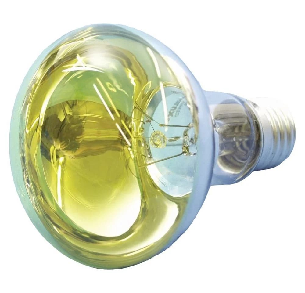 Eurolite Glühlampe E27 Reflektor 60W Gelb - Bild 5