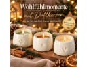 Weltbild Simbolo Duftkerzen Teelichter 3er Set Zimt Tanne Vanille Beige/Weiß Bild 4