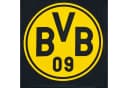BVB Bettwäsche Südtribüne 135x200cm Baumwolle 2-teilig Bild 1