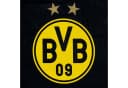 BVB Bettwäsche Südtribüne 135x200cm Baumwolle 2-teilig Bild 3