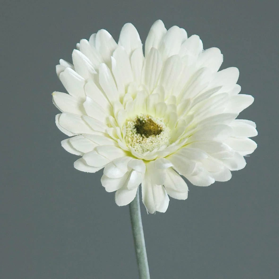 DPI Kunstblume Gerbera Beige 56 cm Deko