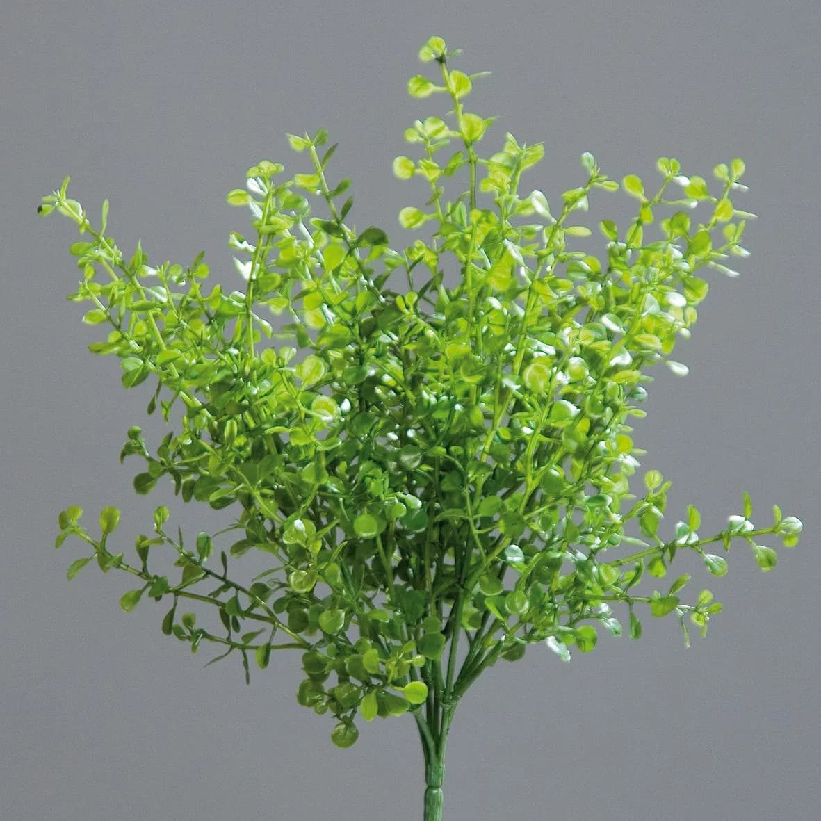 Kunstpflanze Buchsbusch DPI 28cm