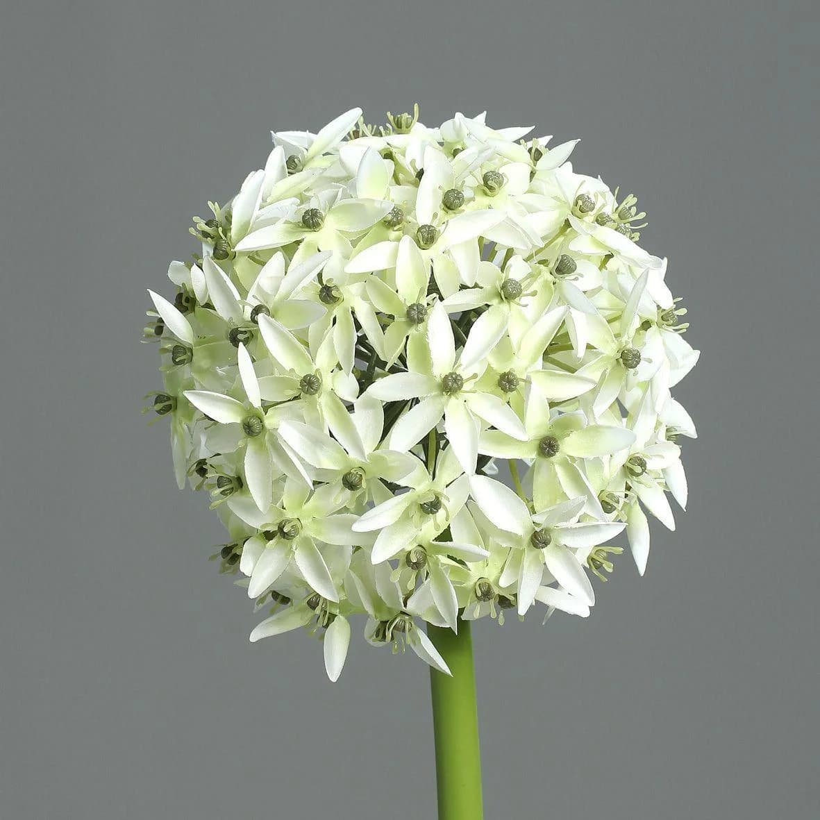 Kunstblume Allium Kunstblume 70 cm Weiß
