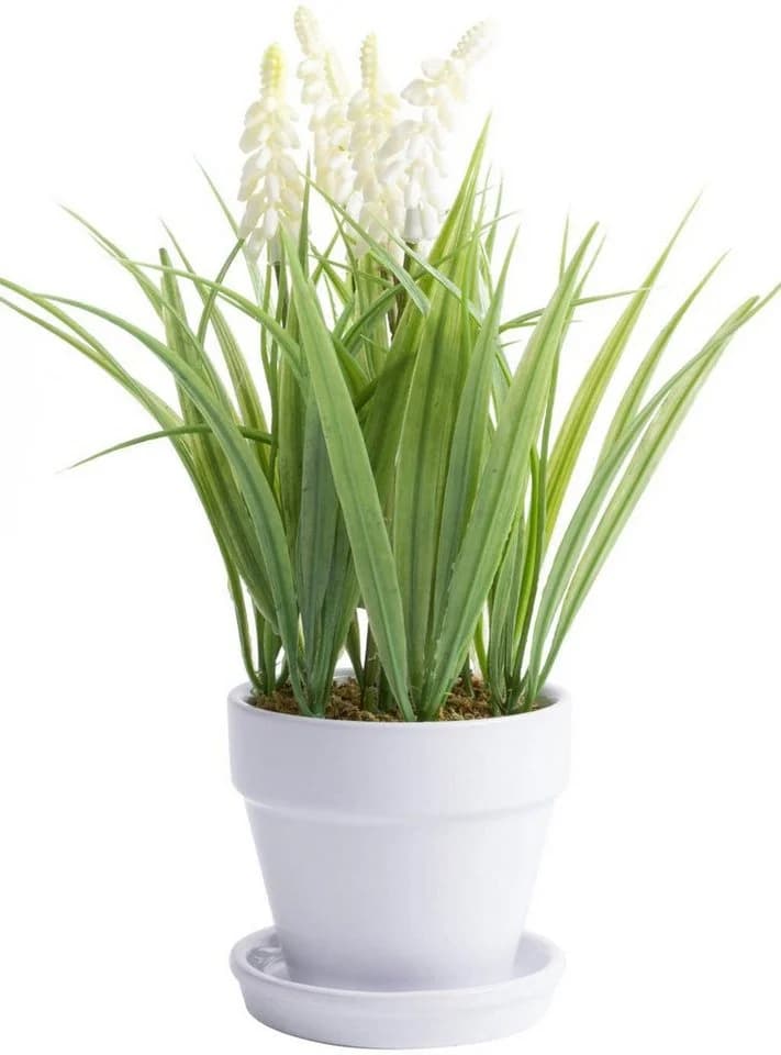 BOTANIC-HAUS Kunstblume Muskari getopft Creme-Weiß Keramik