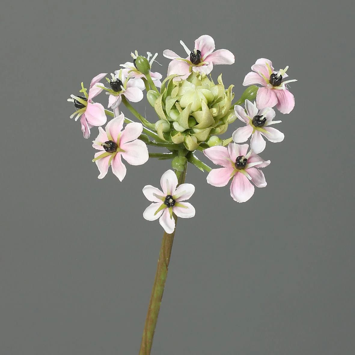 Kunstblume Ornithogalum Pink Rosa DPI