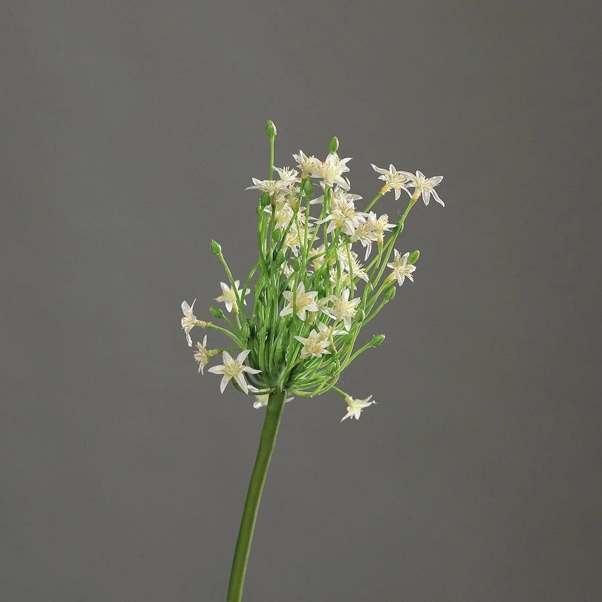 Kunstblume Allium Creme-Grün Kunststoff