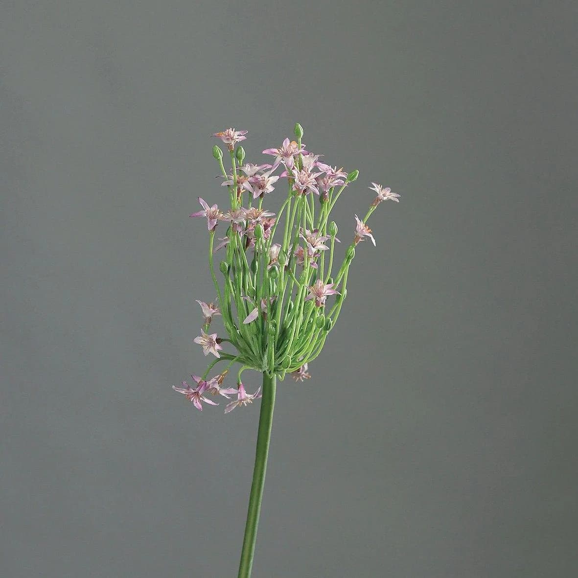 DPI Kunstblume Allium 70 cm Lavendel-Grün