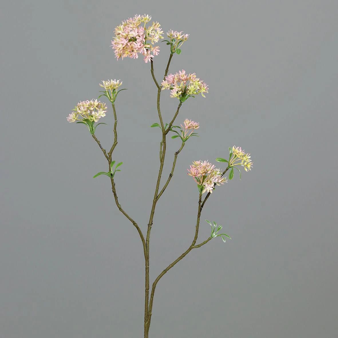 Kunstblume Bowardienzweig Weiß DPI