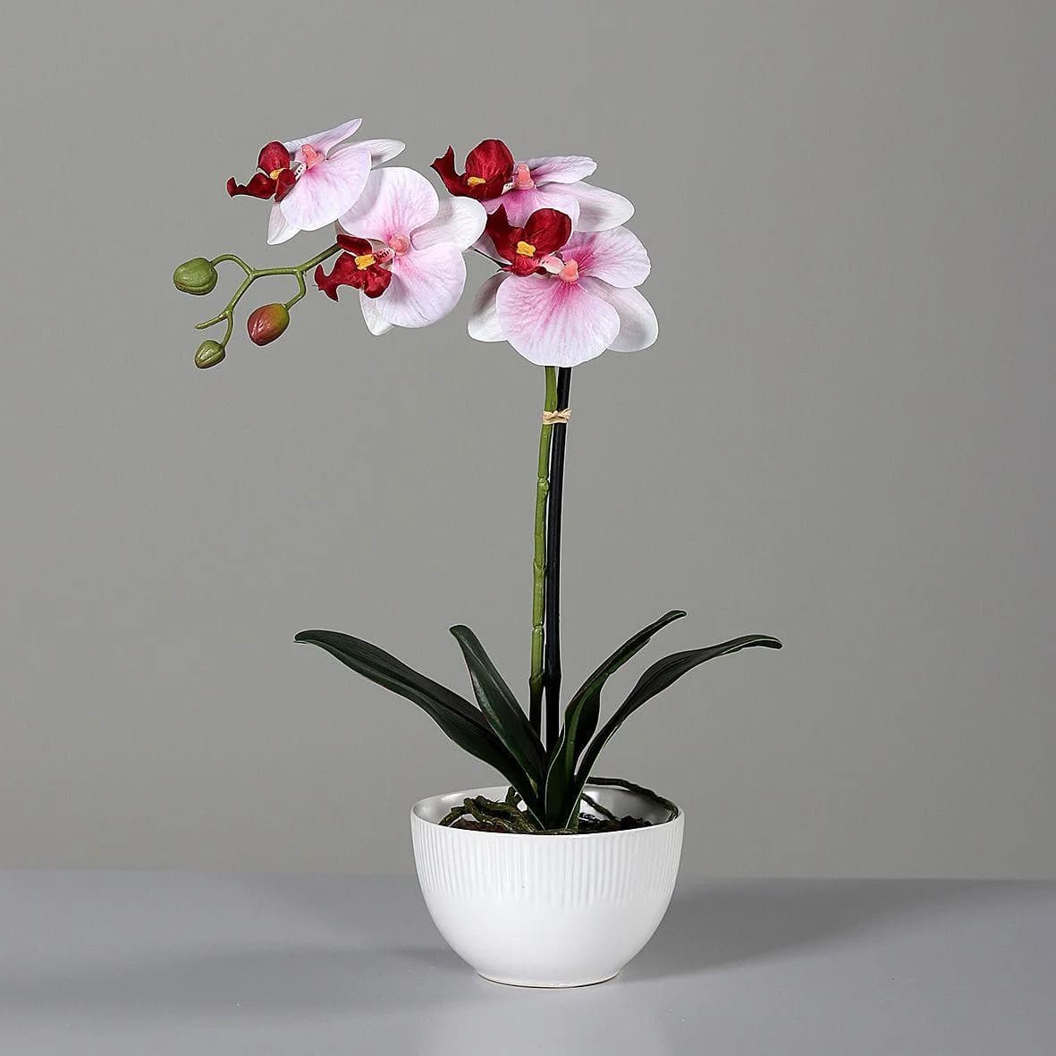 DPI Kunstblume Orchidee Pink-Weiß