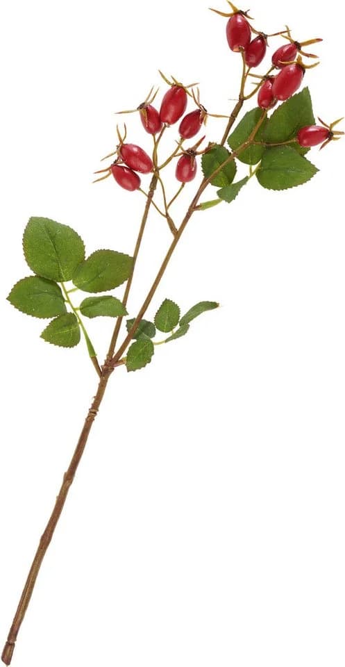 DPI Kunstzweig Hagebuttenzweig Rot 41cm