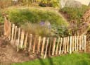 Kiehn-Holz Beetumrandung Mini-Haselnuss-Beetgrenze Natur Bild 1