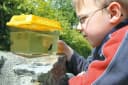 CHiLA Spielzeug-Gartenset Insektenbehälter 1-tlg. Bild 1