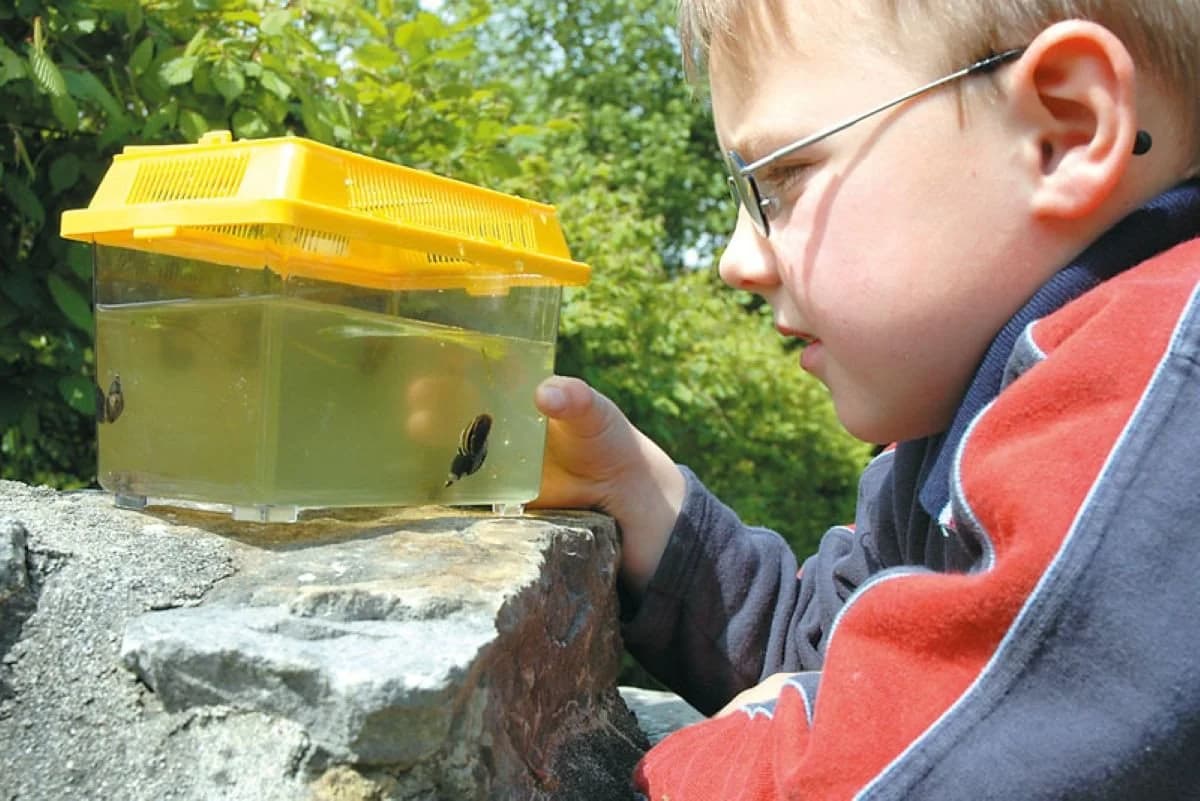 CHiLA Spielzeug-Gartenset Insektenbehälter 1-tlg.