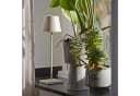 SIGOR LED Tischleuchte Nuindie Dimmbar Akku Beige IP54 Bild 1