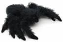 Uni-Toys Schwarze Spinne 20 cm Plüschtier 100 % Recyceltes Füllmaterial Bild 1