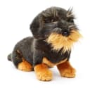 Uni-Toys Kuscheltier Rauhaardackel 24 cm Plüsch Hund Bild 2