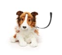 Uni-Toys Kuscheltier Langhaarcollie mit Leine - 27 cm - Plüsch-Hund Bild 1