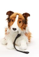 Uni-Toys Kuscheltier Langhaarcollie mit Leine - 27 cm - Plüsch-Hund Bild 4