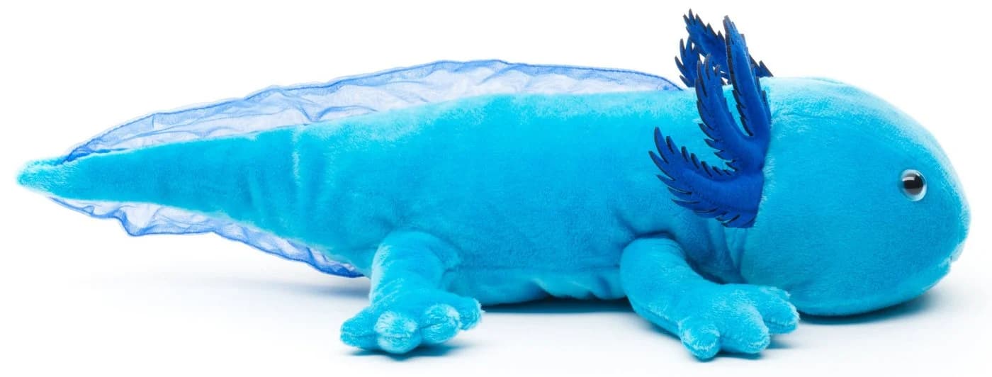 Uni-Toys Kuscheltier Axolotl Plüschtier Blau 32 cm - Bild 3