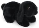Uni-Toys Kuscheltier Widderkaninchen Schwarz 20 cm Plüsch Bild 1
