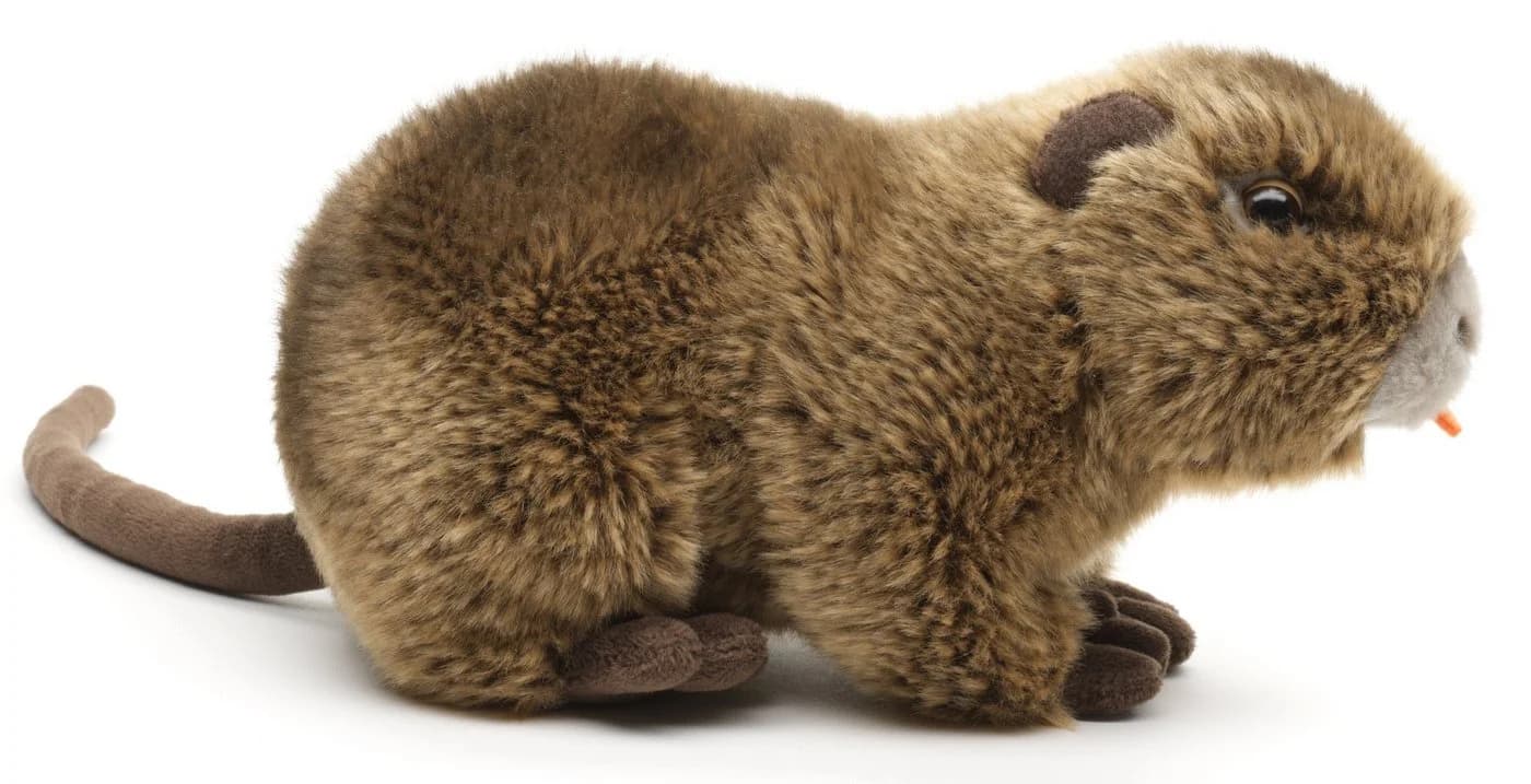 Uni-Toys Kuscheltier Nutria Plüsch Sumpfotter Orange - Bild 4