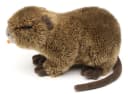 Uni-Toys Kuscheltier Nutria Plüsch Sumpfotter Orange Bild 5