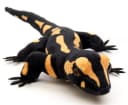 Uni-Toys Kuscheltier Feuersalamander Plüsch 34 cm Bild 1