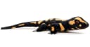 Uni-Toys Kuscheltier Feuersalamander Plüsch 34 cm Bild 4
