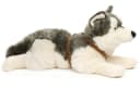 Uni-Toys Kuscheltier Großer Husky 62 cm Plüsch-Hund mit Geschirr Bild 3