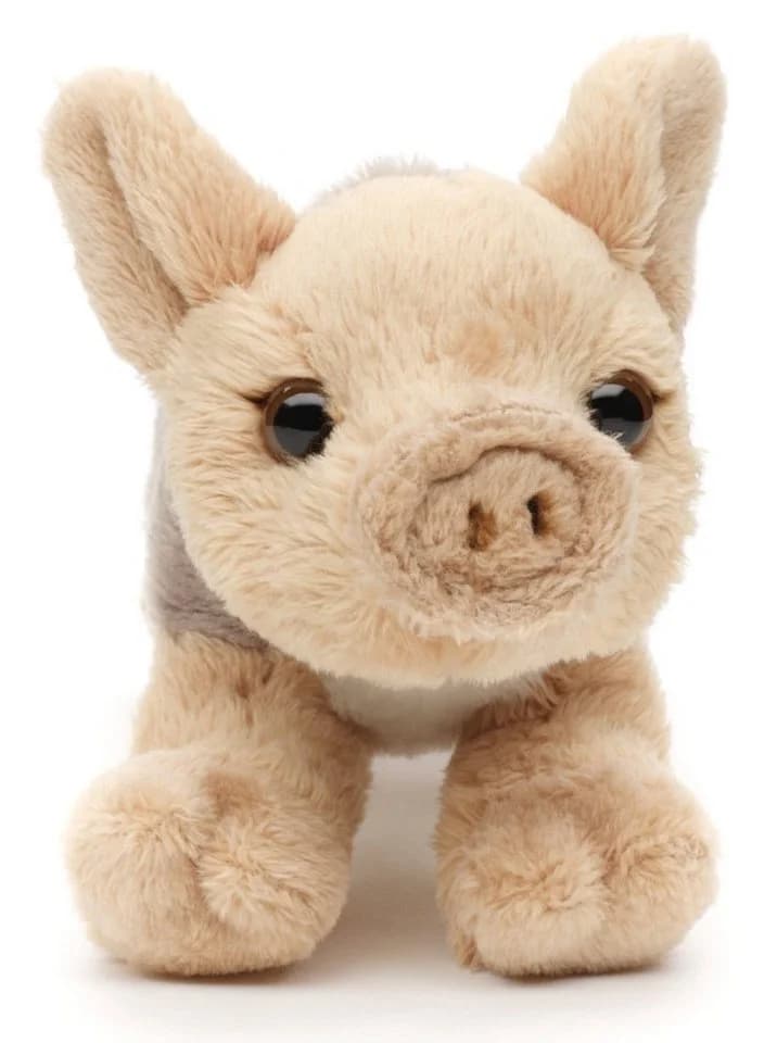 Uni-Toys Kuscheltier Waldtier Plushie Frischling 13 cm