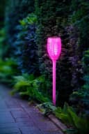 BONETTI LED Gartenfackel Lila Solar mit Flammeneffekt Bild 4