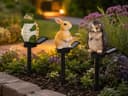 IC Gardenworld Solar-Gartenstecker Tierfigur LED Igel Hase Schildkröte Bild 4