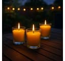 IC Gardenworld Duftkerze Citronella Glas 24-tlg Bild 5
