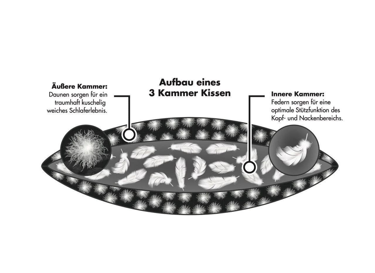 KÜNSEMÜLLER Daunenkissen 3 Kammer Kopfkissen Antarktis - Bild 3