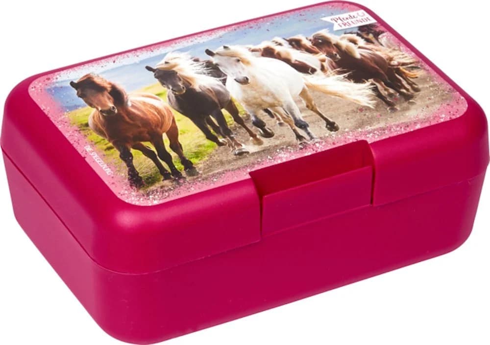 COPPENRATH DIE SPIEGELBURG Lunchbox Rot 2-tlg. mit Schale