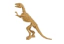 Out of the Blue Dinosaurier Skelett Ausgrabungsset mit Pinsel und Meißel Bild 5