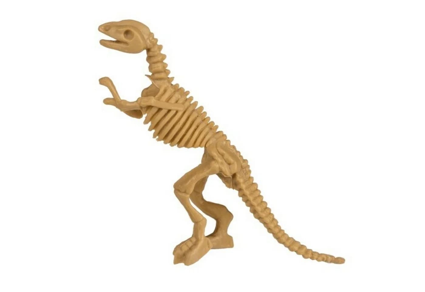 Out of the Blue Dinosaurier Skelett Ausgrabungsset mit Pinsel und Meißel - Bild 5
