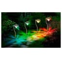 Out of the Blue LED Solar Gartenstecker 4-teilig Set Farbwechsel Bild 2