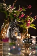 Giftcompany Monsieur Carafon Vase / Karaffe Fisch L silber 2,7l Bild 3
