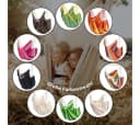 AMAZONAS Hängesessel Brasil KingSize Bunt Recycelt Bild 5