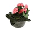 colourliving Zink Pflanztopf rund Old Green 28cm Ø Bild 1